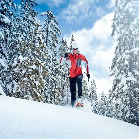 Apartman In Near Lift Wagrain