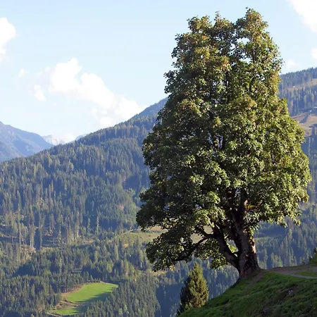 In Near Lift * Wagrain