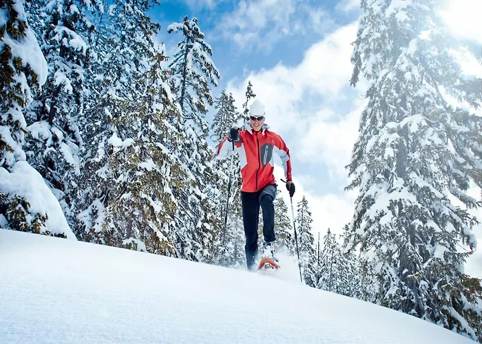 公寓 In Near Lift 瓦格赖恩