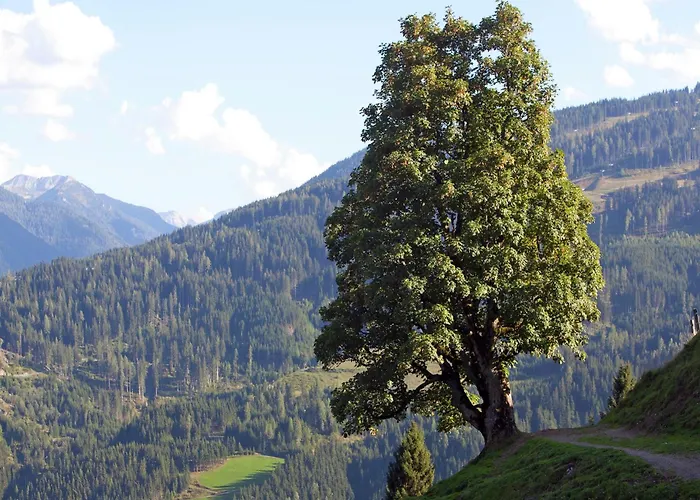 In Near Lift * Wagrain